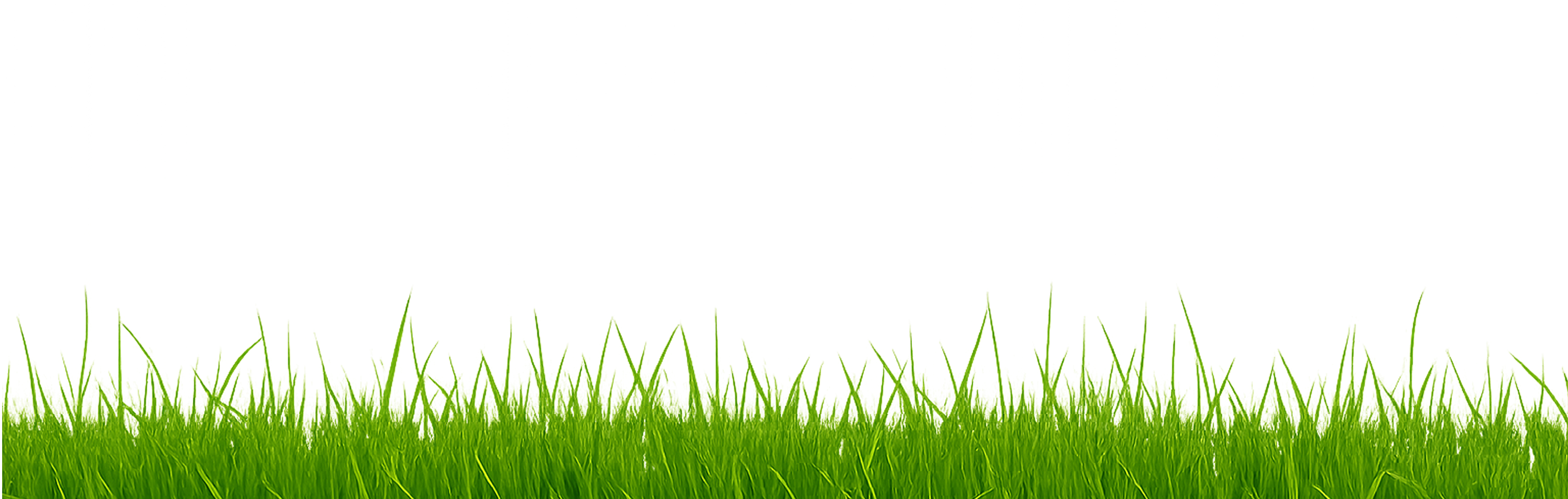 grass